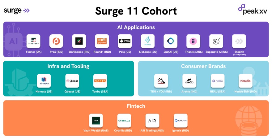 Surge 11 cohort overview infographic